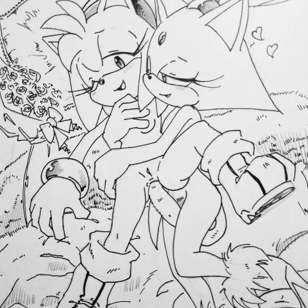amy rose, blaze the cat (sega, sonic the hedgehog (series)) created by randomguy999