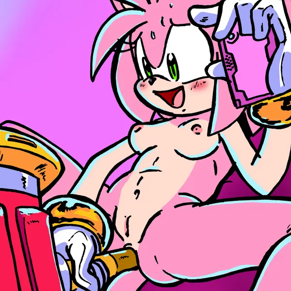 amy rose (sega, sonic the hedgehog (series)) created by randomguy999