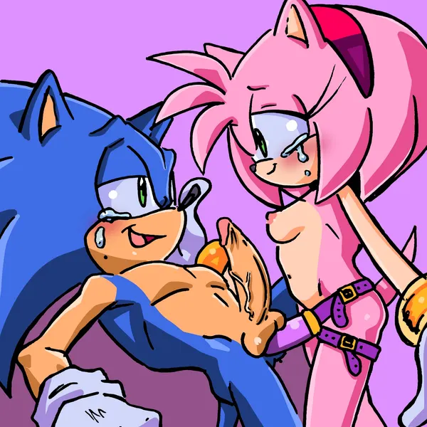 amy rose, sonic the hedgehog (sega, sonic the hedgehog (series)) created by randomguy999