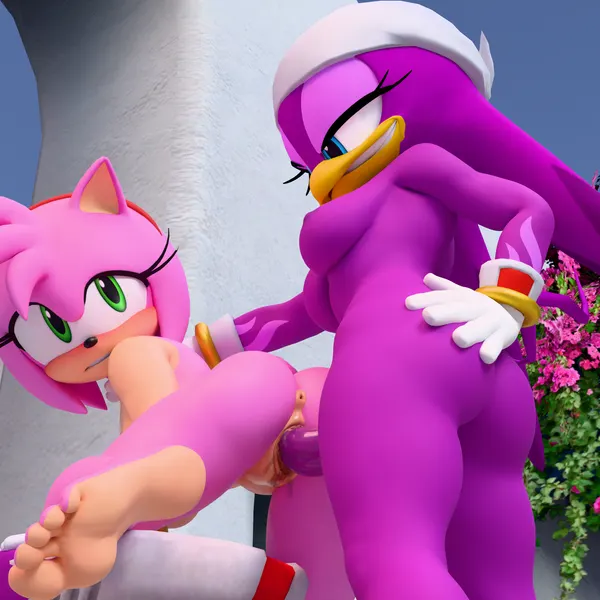 amy rose, wave the swallow (sega, sonic riders) created by twintails3d