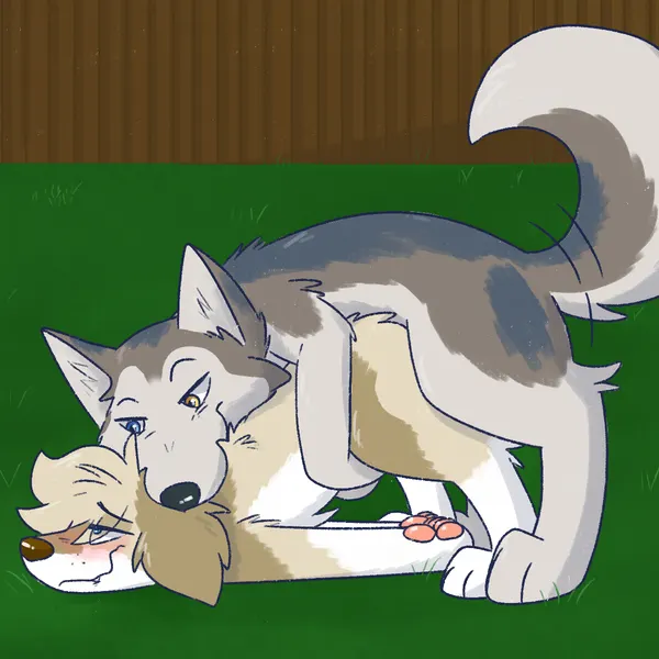 anvil (hakudoge), gracie (vixeyhuskybutt) created by vixeyhuskybutt