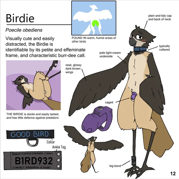 birdie (canadabirdie) created by shellsist