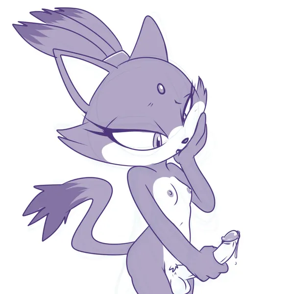 blaze the cat (sega, sonic the hedgehog (series)) created by lonbluewolf