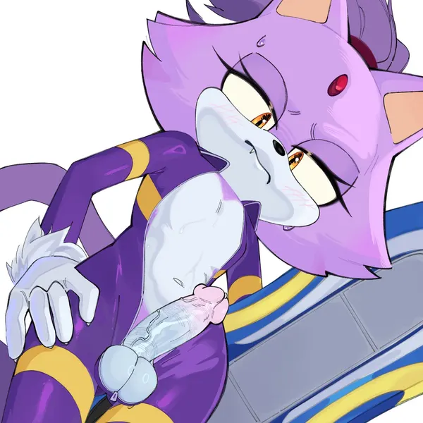 blaze the cat (sega, sonic the hedgehog (series)) created by magnetstuff
