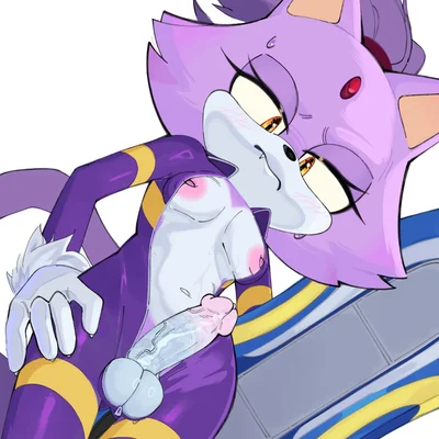 blaze the cat (sega, sonic the hedgehog (series)) created by magnetstuff
