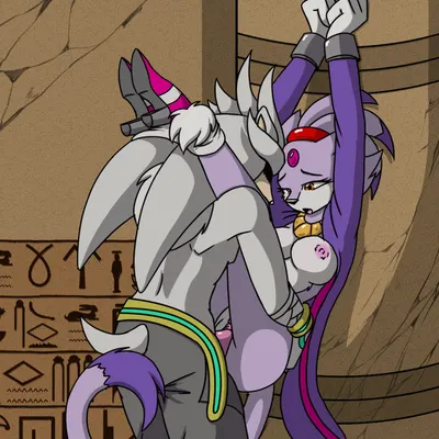 blaze the cat, silver the hedgehog (sega, sonic the hedgehog (series)) created by tierafoxglove