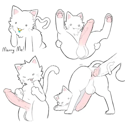 created by f d e i a