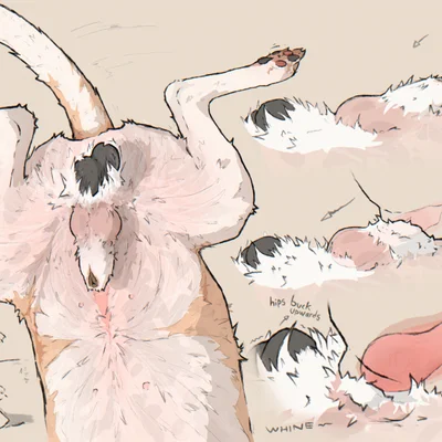 created by hotdogmeat