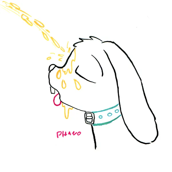 created by phano