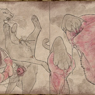 deki, zoodeik created by hdyly