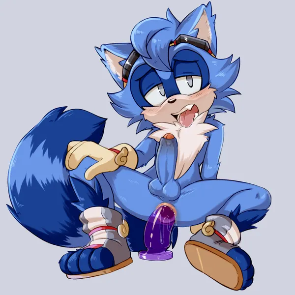 fan character, sonic the hedgehog (sega, sonic the hedgehog (series)) created by dandi