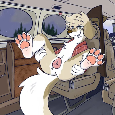 gracie (vixeyhuskybutt) created by vixeyhuskybutt