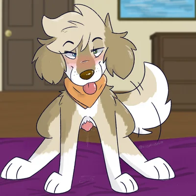 gracie (vixeyhuskybutt) created by vixeyhuskybutt