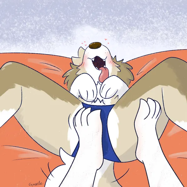 gracie (vixeyhuskybutt) created by vixeyhuskybutt