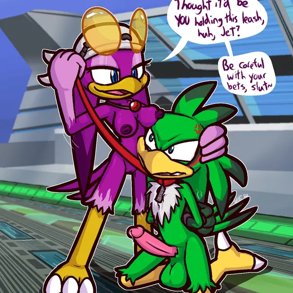 jet the hawk, wave the swallow (sega, sonic riders) created by ultilix
