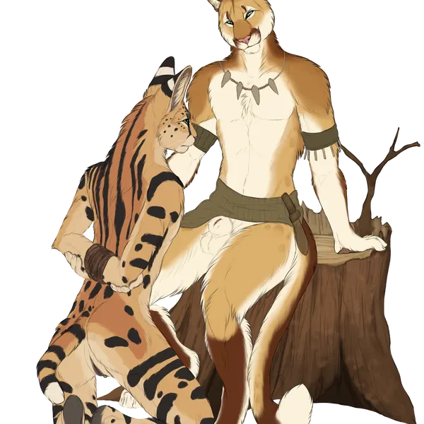 kalshan (purrma), rikki (purrma) created by skullsbesan