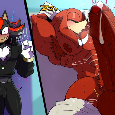 knuckles the echidna, shadow the hedgehog (sega, sonic the hedgehog (series)) created by bacon sama