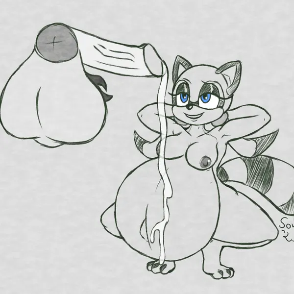 marine the raccoon, sonic the hedgehog (sega, sonic the hedgehog (series)) created by sonomatic