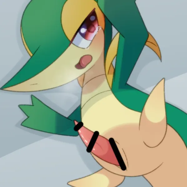 nintendo, pokemon created by chikage