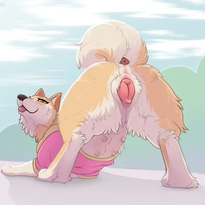 panama (hakudoge) created by digitoxici