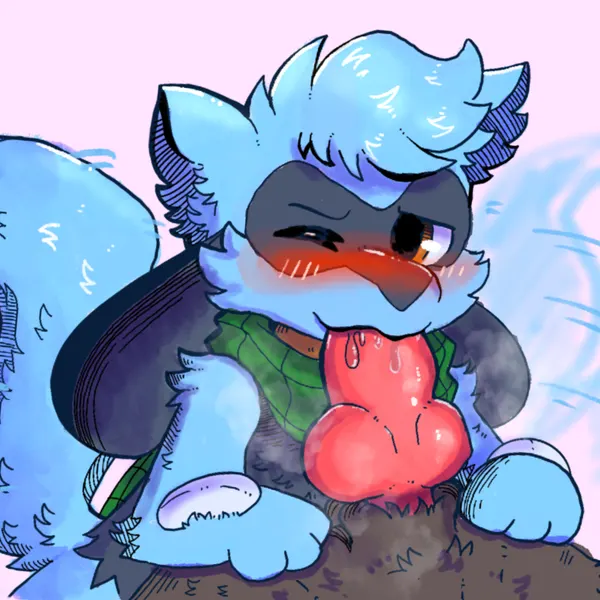 paxton the riolu (nintendo, pokemon) created by lustylu