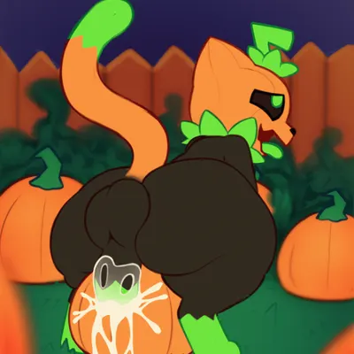 pumkat created by meowny