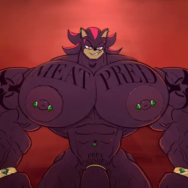 shadow the hedgehog (sega, sonic the hedgehog (series)) created by bigsmoulder
