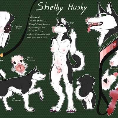 shelby (sketchy shelby) created by sketchy shelby