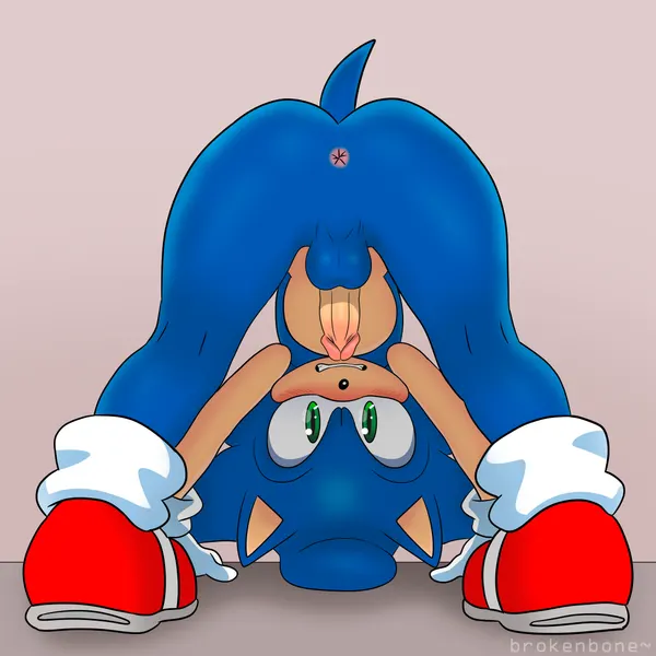 sonic the hedgehog (sega, sonic the hedgehog (series)) created by brokenbone
