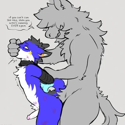 warrenfox created by mazmaven