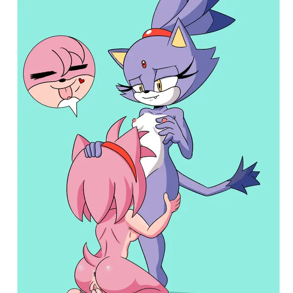 amy rose, blaze the cat (sega, sonic the hedgehog (series)) created by akuzaguy