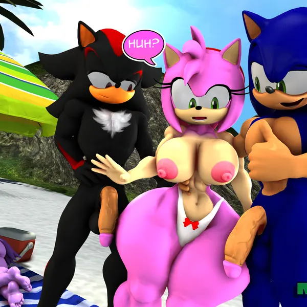 amy rose, blaze the cat, shadow the hedgehog (sega, sonic the hedgehog (series)) created by rocketspuff