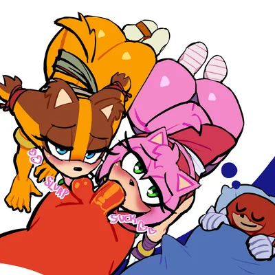 amy rose, knuckles the echidna, sticks the jungle badger (sega, sonic boom) created by lovetopullmicke