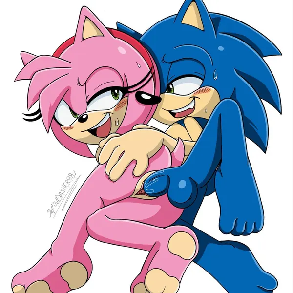 amy rose, sonic the hedgehog (sega, sonic the hedgehog (series)) created by spindasher98