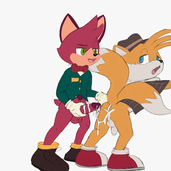 barry (sonic), miles prower (sega, sonic the hedgehog (series)) created by twerpishimp
