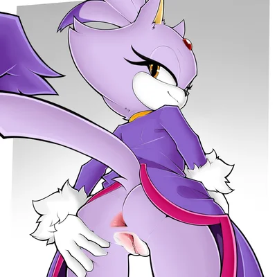 blaze the cat (sega, sonic the hedgehog (series)) created by amazinggwen