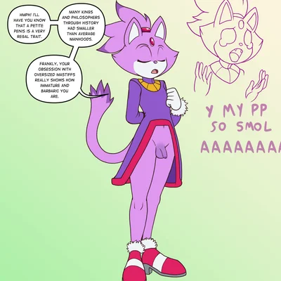 blaze the cat (sega, sonic the hedgehog (series)) created by fourssss