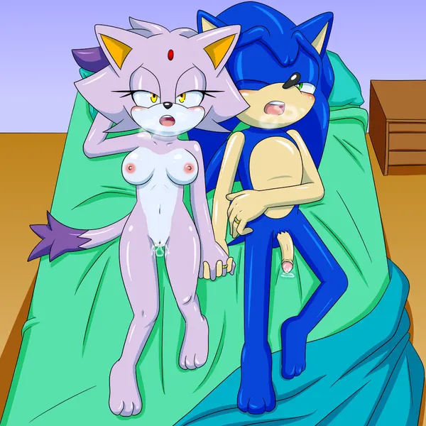 blaze the cat, sonic the hedgehog (sega, sonic the hedgehog (series)) created by sonicguru