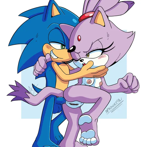 blaze the cat, sonic the hedgehog (sega, sonic the hedgehog (series)) created by spindasher98