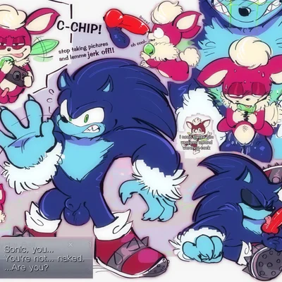 chip (sonic), sonic the hedgehog, sonic the werehog (sega, sonic the hedgehog (series)) created by salamikii