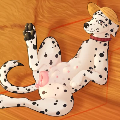 created by nauticalcanine