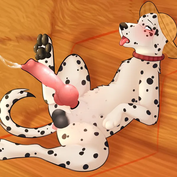 created by nauticalcanine