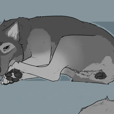 created by sketchy shelby