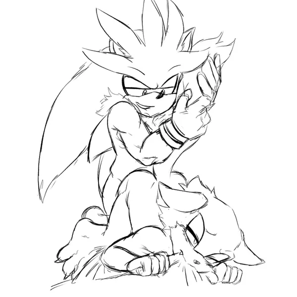 duo the cat, silver the hedgehog (idw publishing, sega) created by wsora