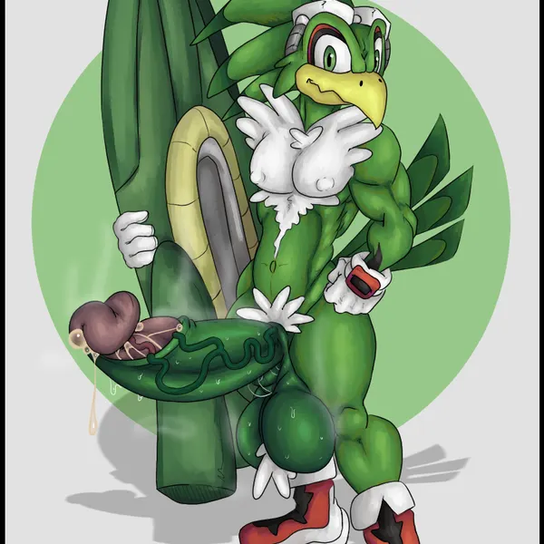 jet the hawk (sega, sonic riders) created by wilelter