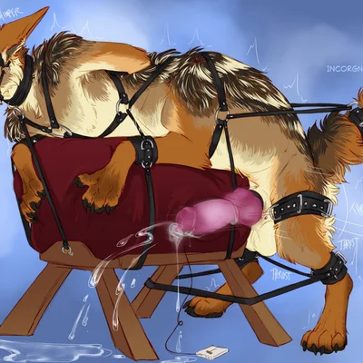 kojote created by incorgnito