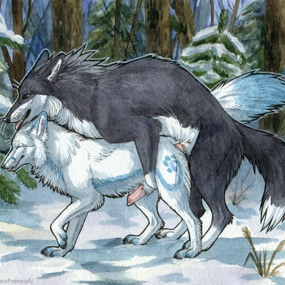 leto (letodoesart), tannihn created by heatherwolf