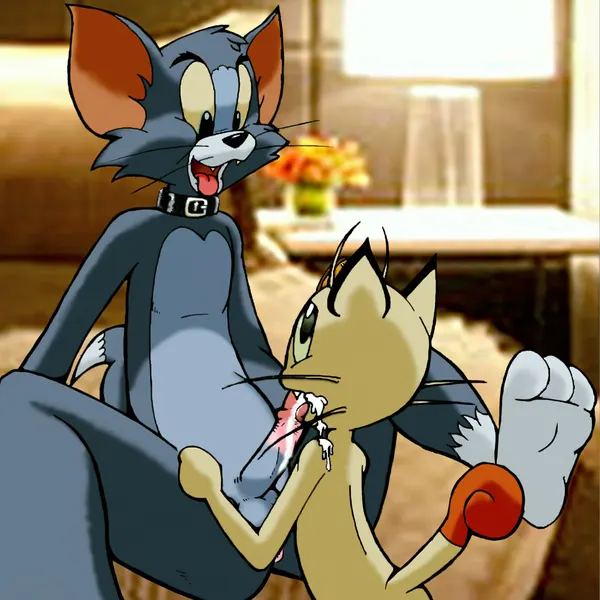 meowth (team rocket), thomas cat (metro-goldwyn-mayer, nintendo) created by toonpimp