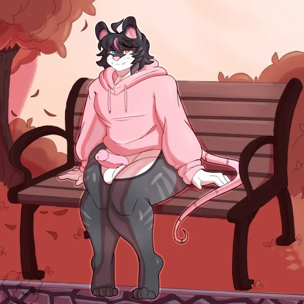 nico (labrattt)