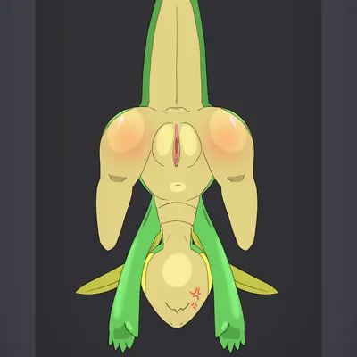 nintendo, pokemon created by dengon